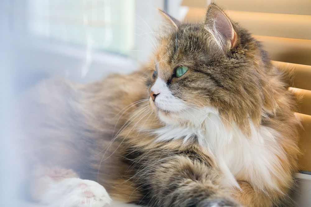 Photograph by Оксана Казакова