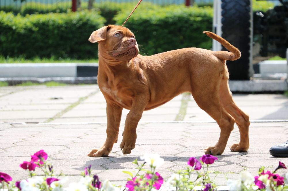 Photograph by Kseniya Panova