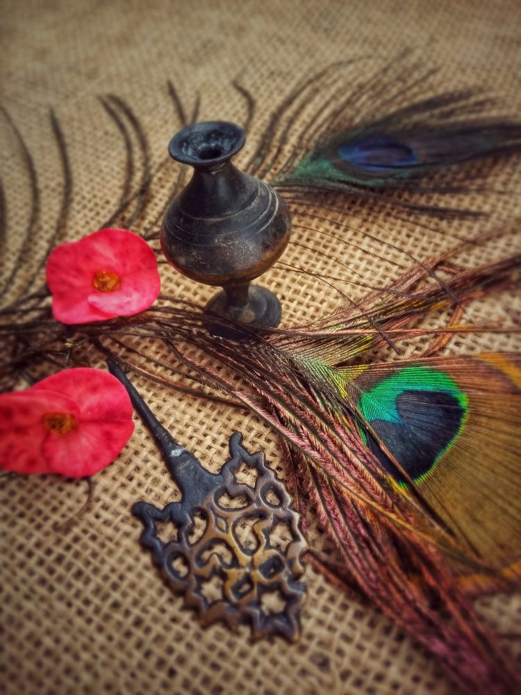 Photograph by Candy_photofactory