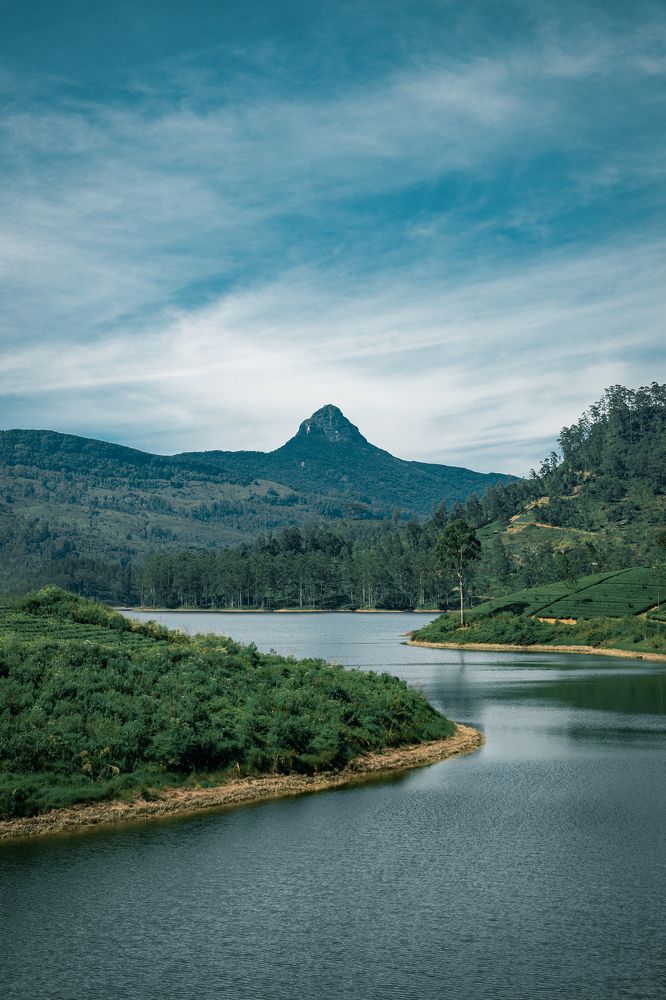 Photograph by Kanishka Jeewantha