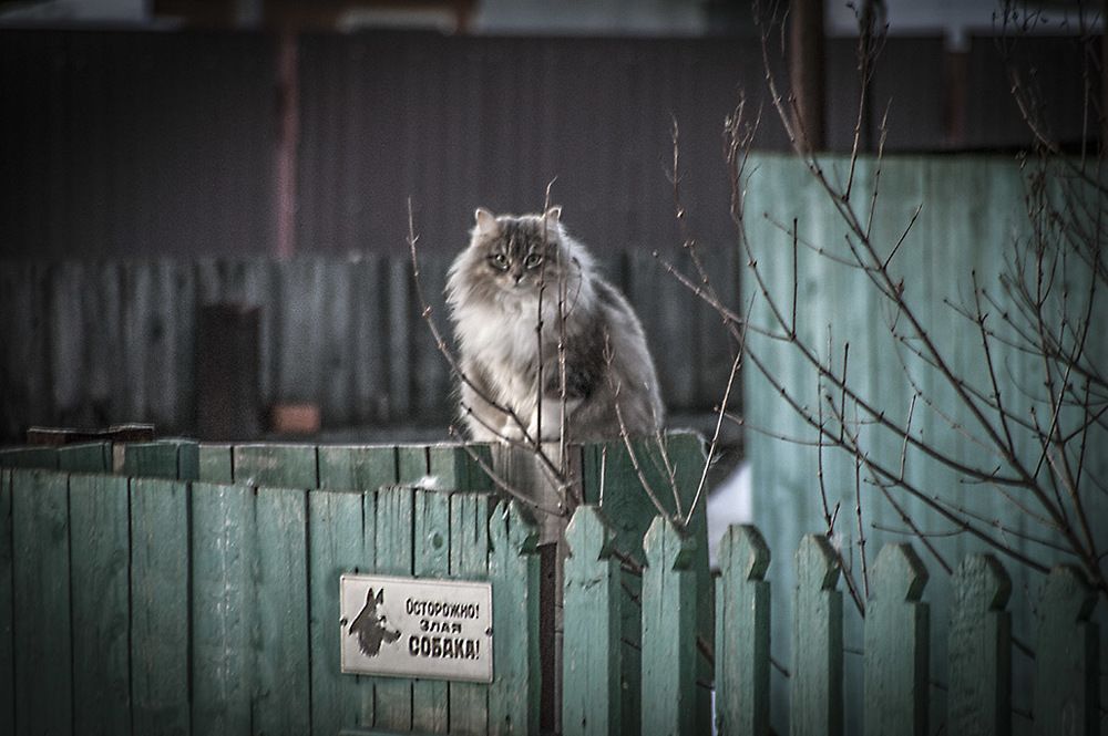 Photograph by Борис Назаров