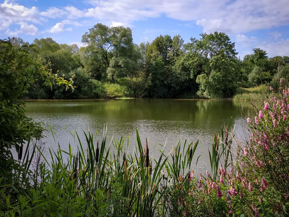 Photograph by Анастасия Кулешевич