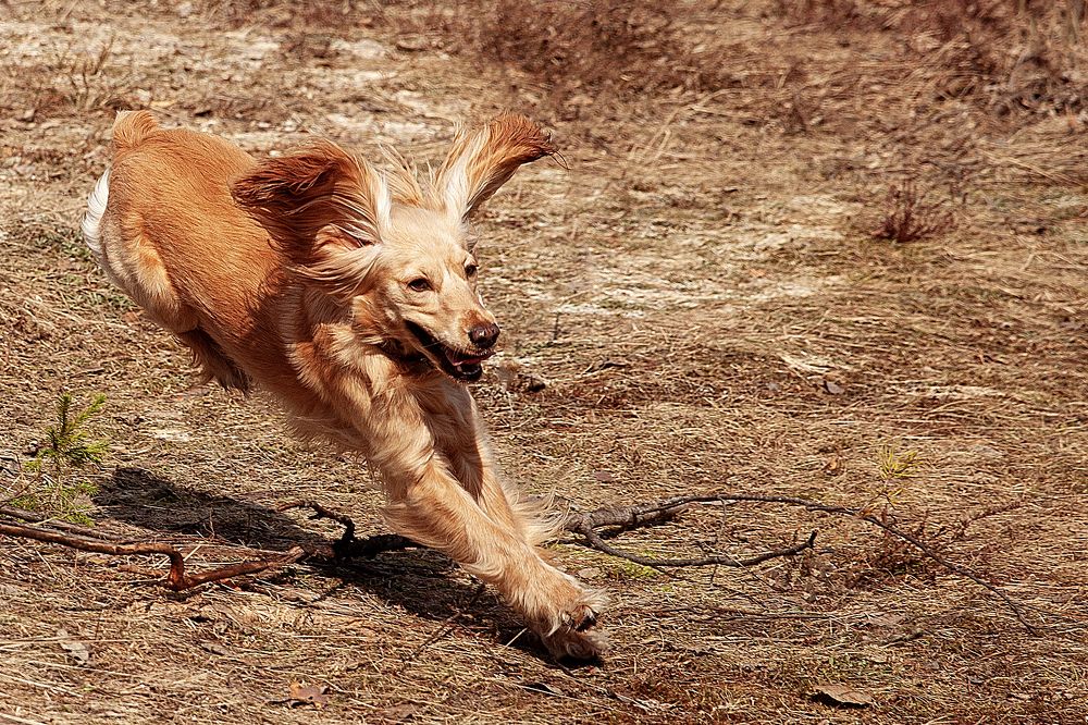 Photograph by Ирина Бобрешова