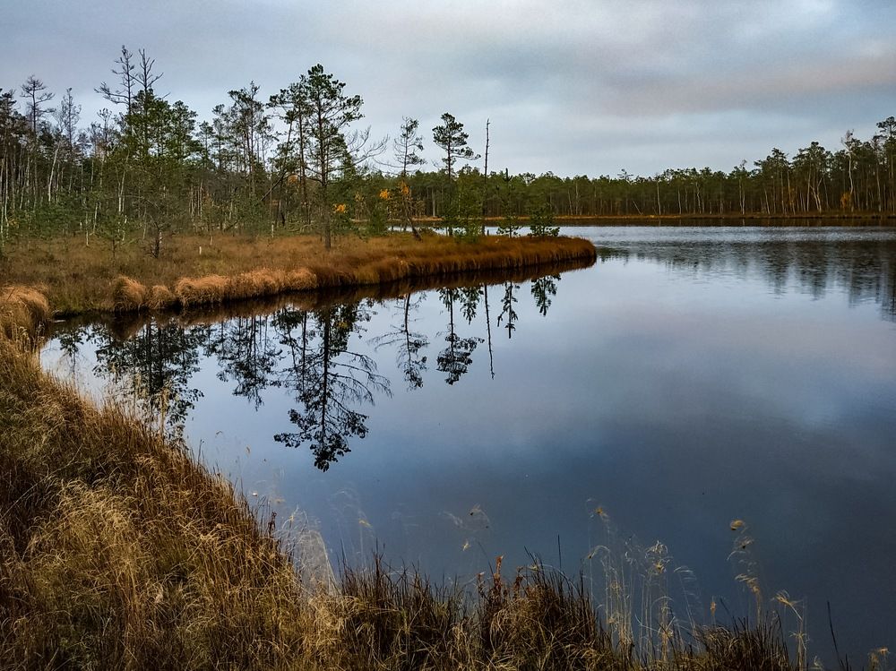 Photograph by Анастасия Кулешевич