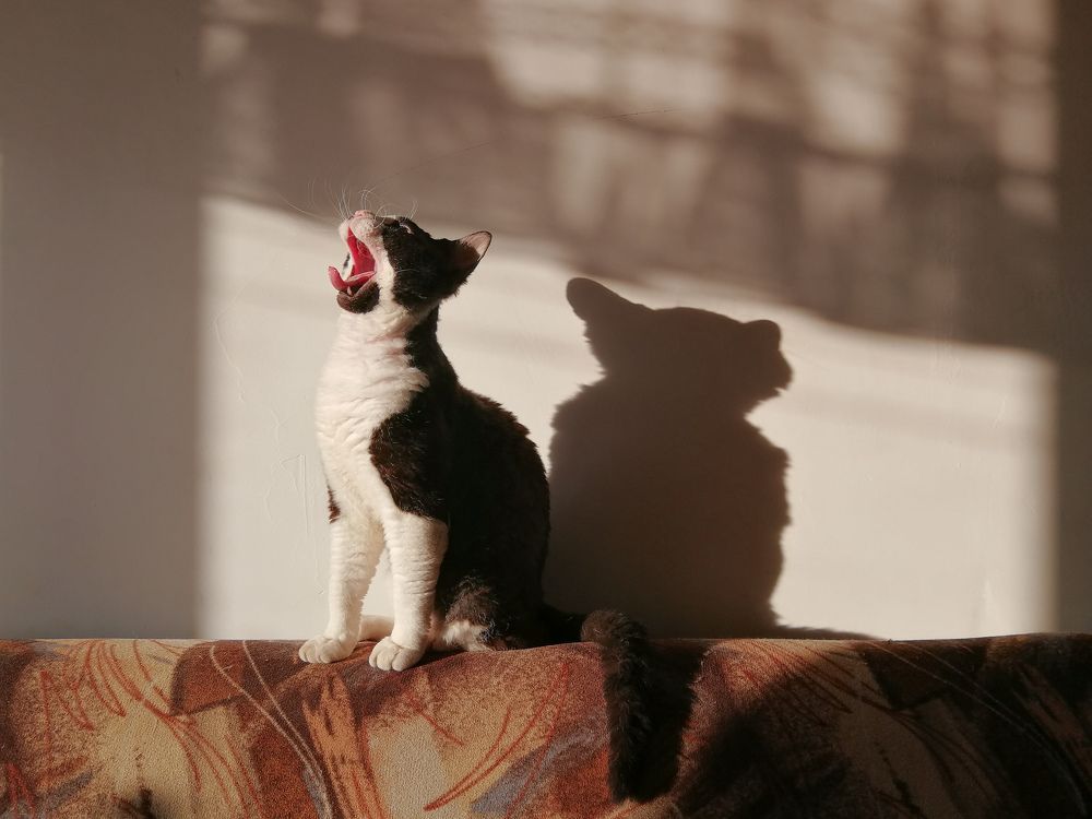 Photograph by Александр Гец