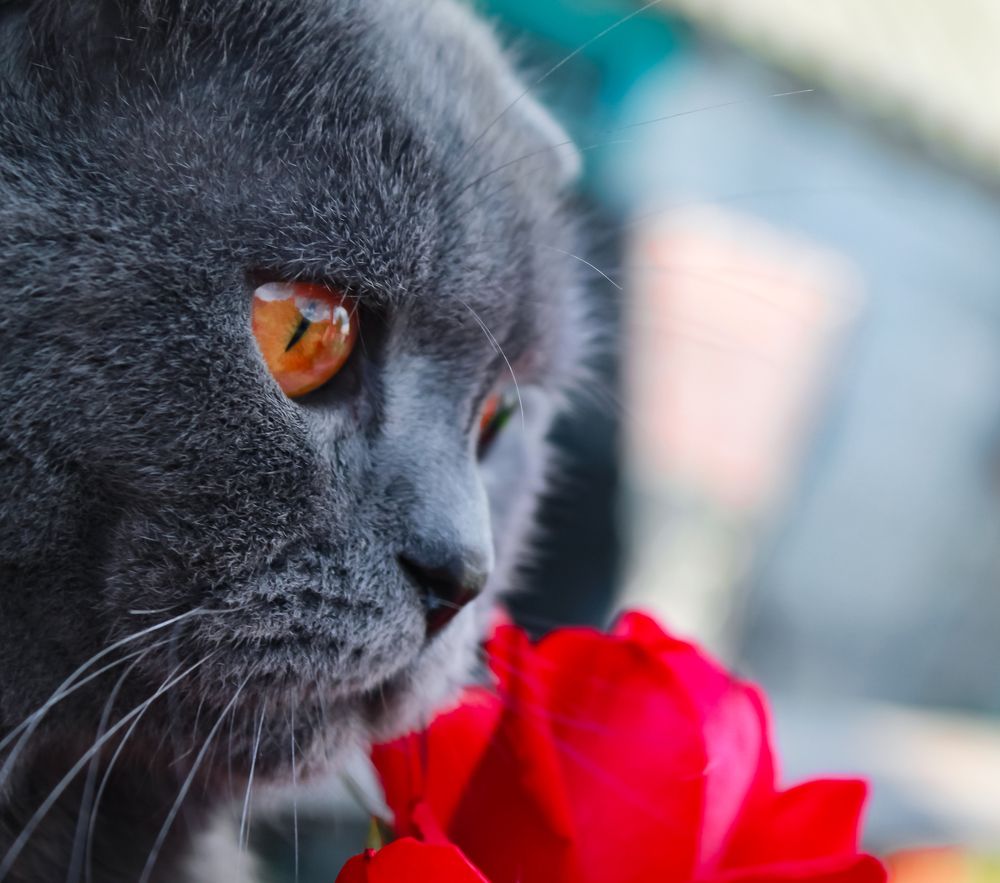 Photograph by Татьяна Слободчикова