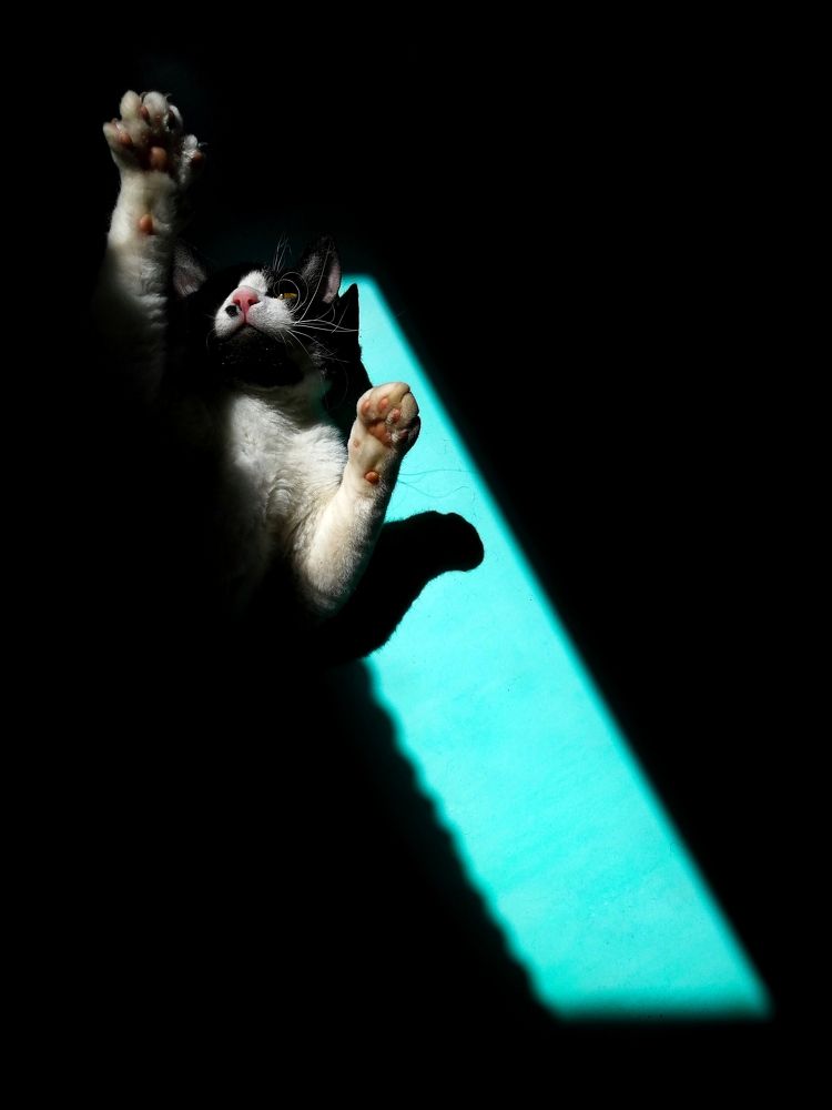 Photograph by Александр Гец