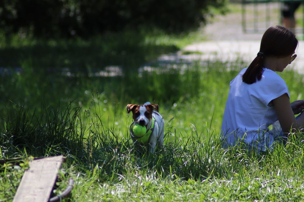 Отдых в парке.