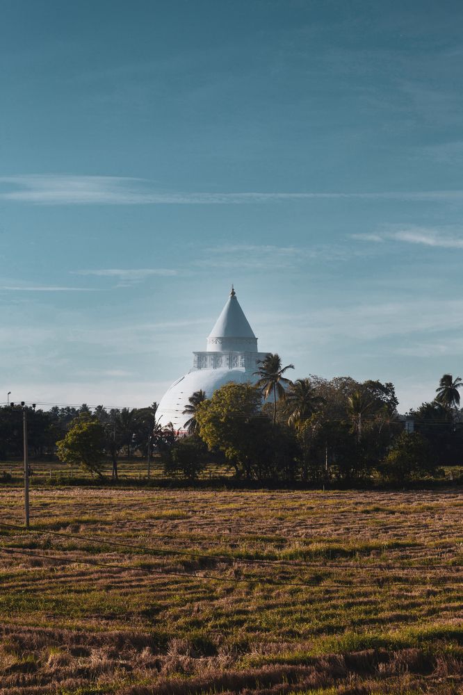 Photograph by Kanishka Jeewantha