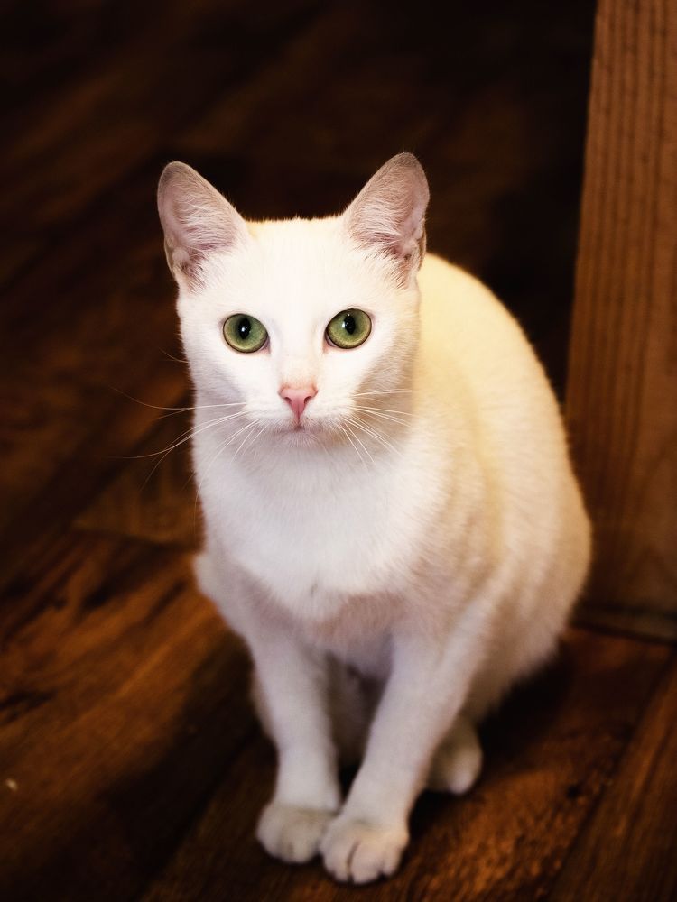 Photograph by Валерий Курбатов