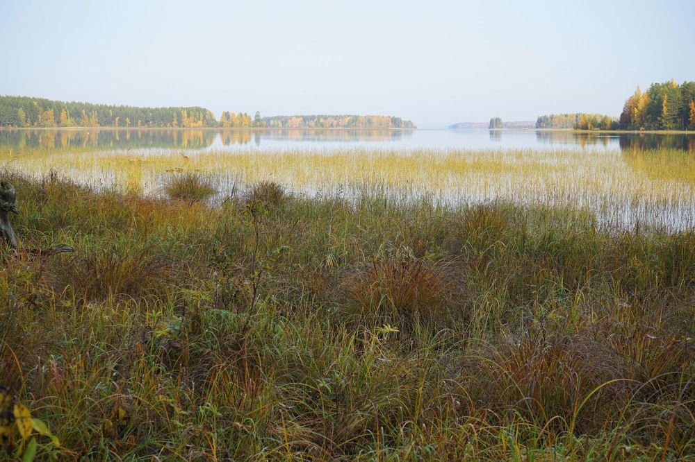 Утренний заморозок осенью