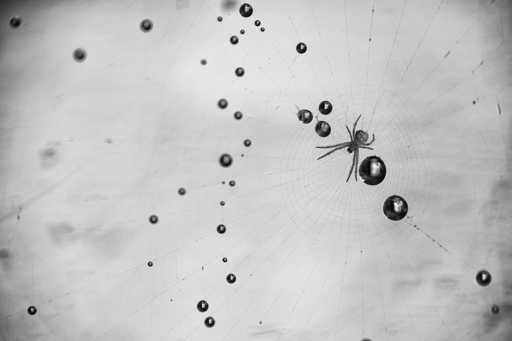 Photograph by Manojit Mallick