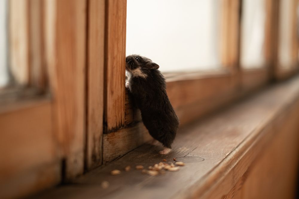 Photograph by Наталья Зацеркляная