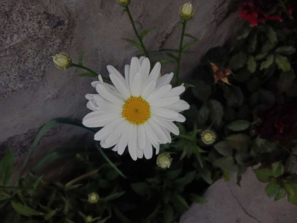 Photograph by Hussain Mushahid