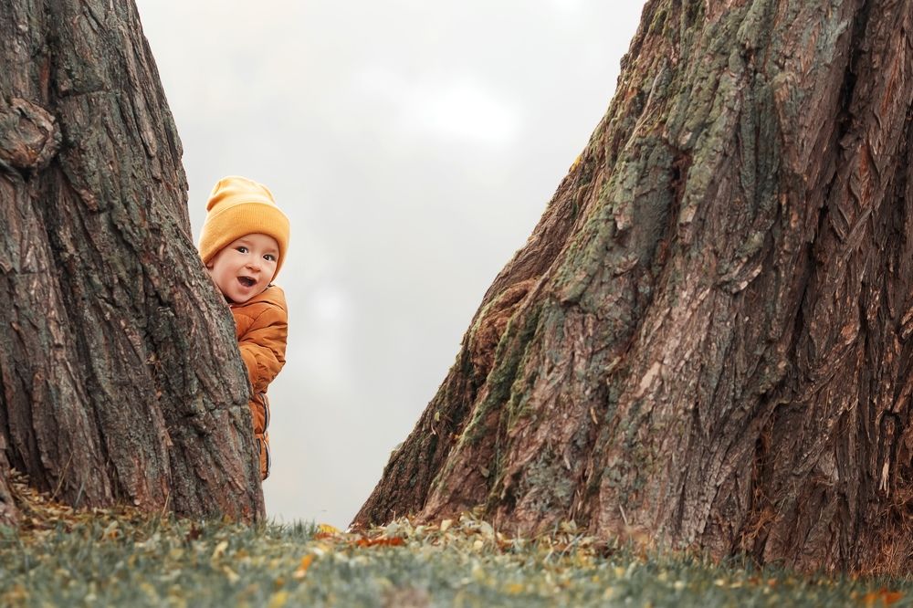 Photograph by Нина Наумик