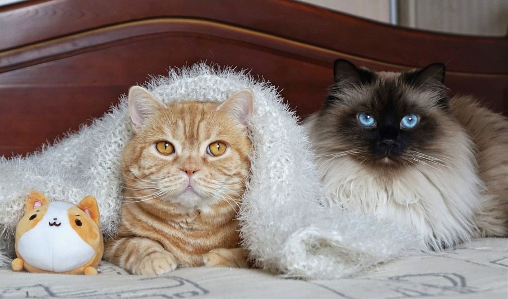 Фотография автора Валентина Гундарева