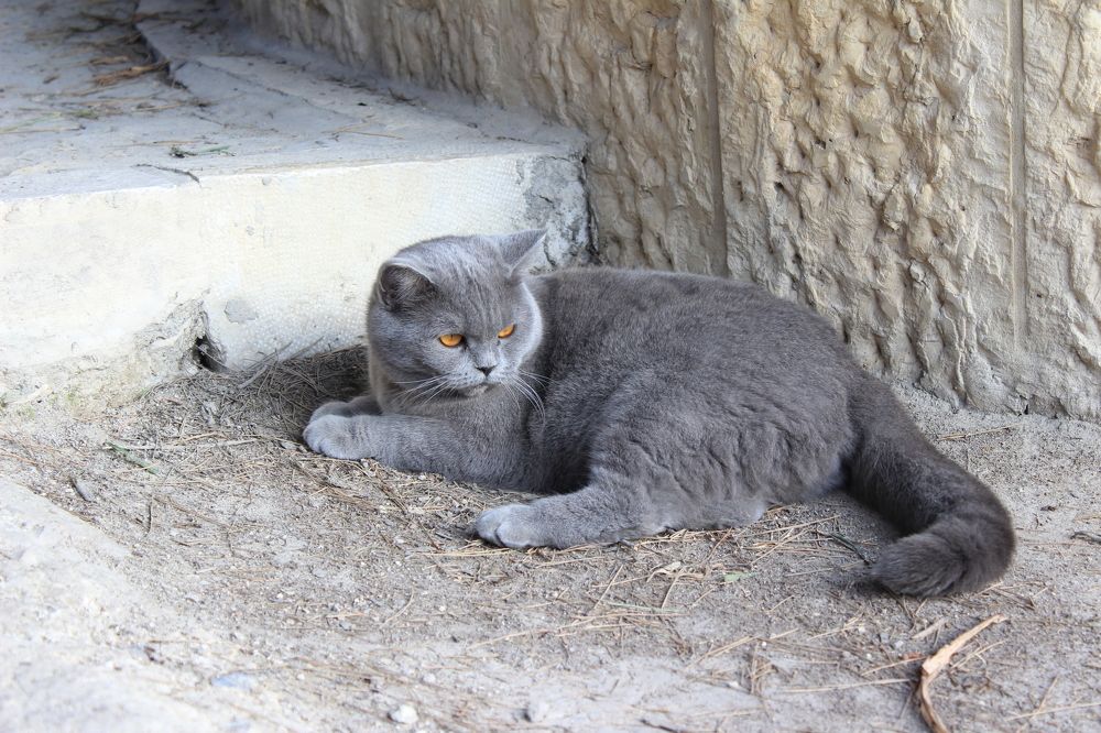 Photograph by Елена Кулакова