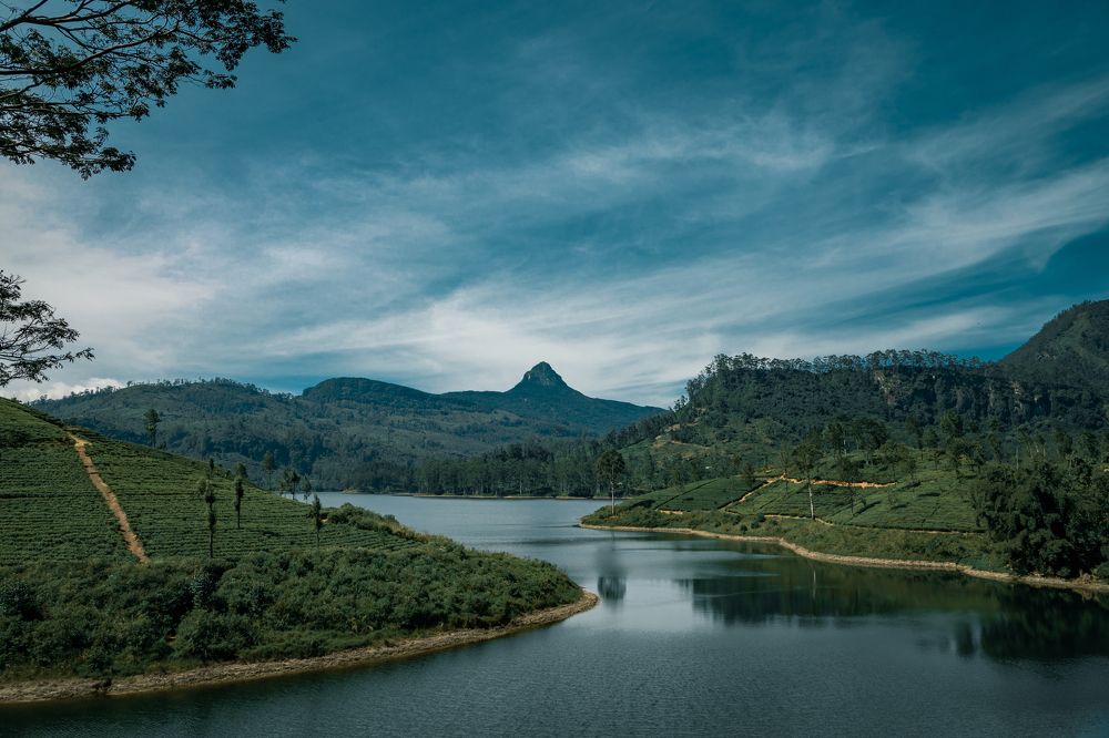 Photograph by Kanishka Jeewantha