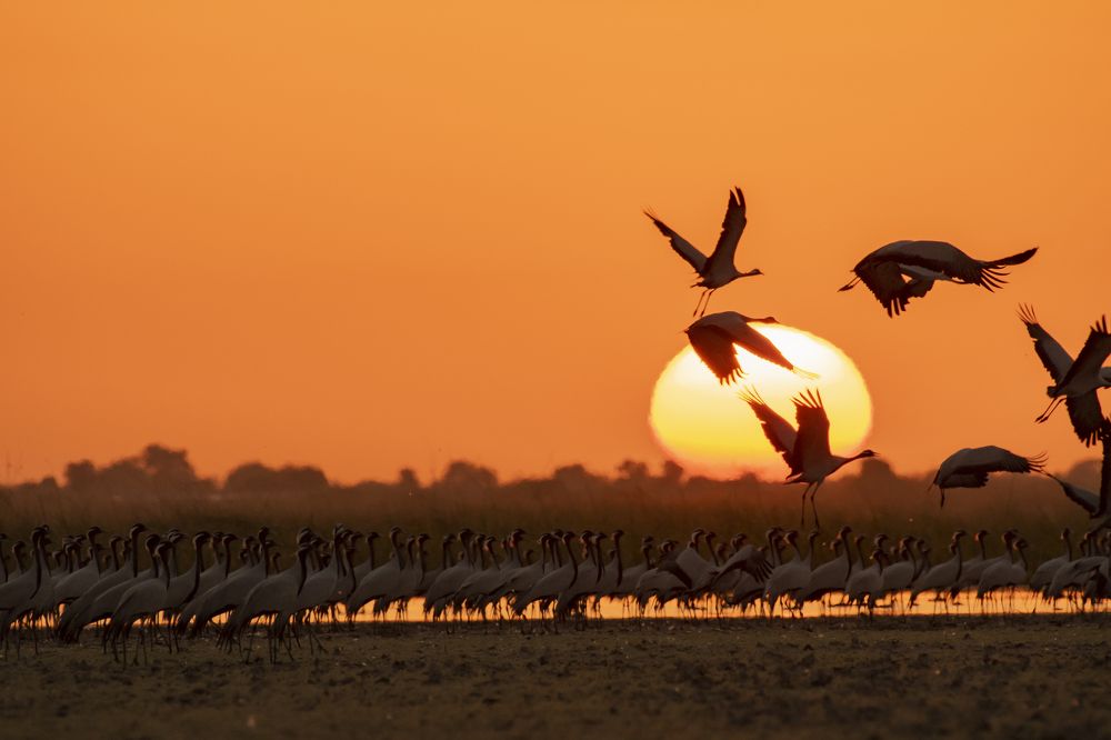 Photograph by Suman Paul