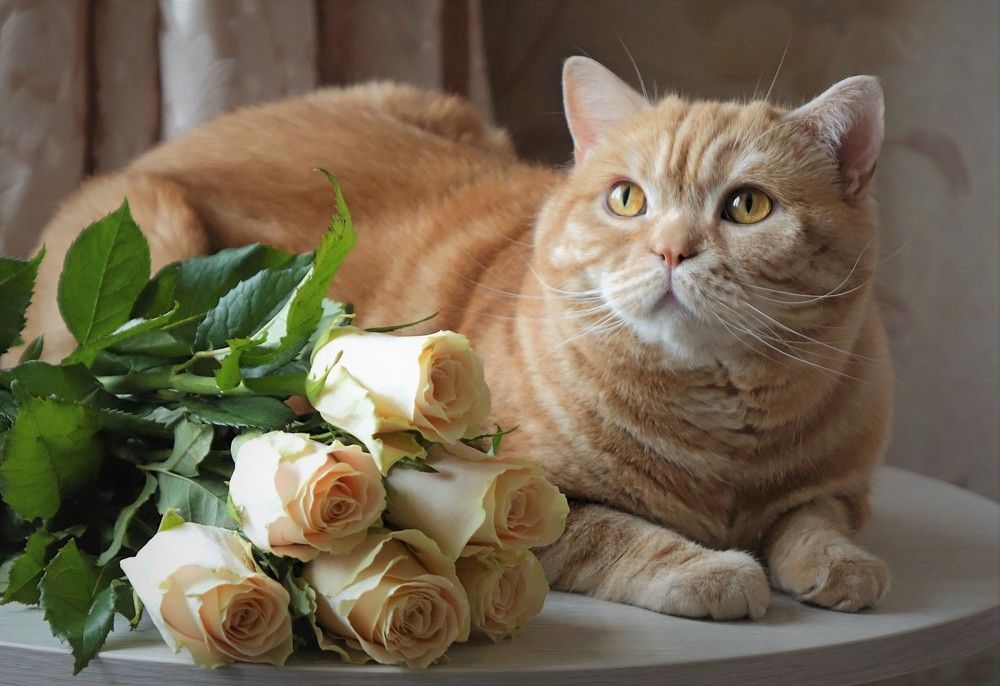 Фотография автора Валентина Гундарева