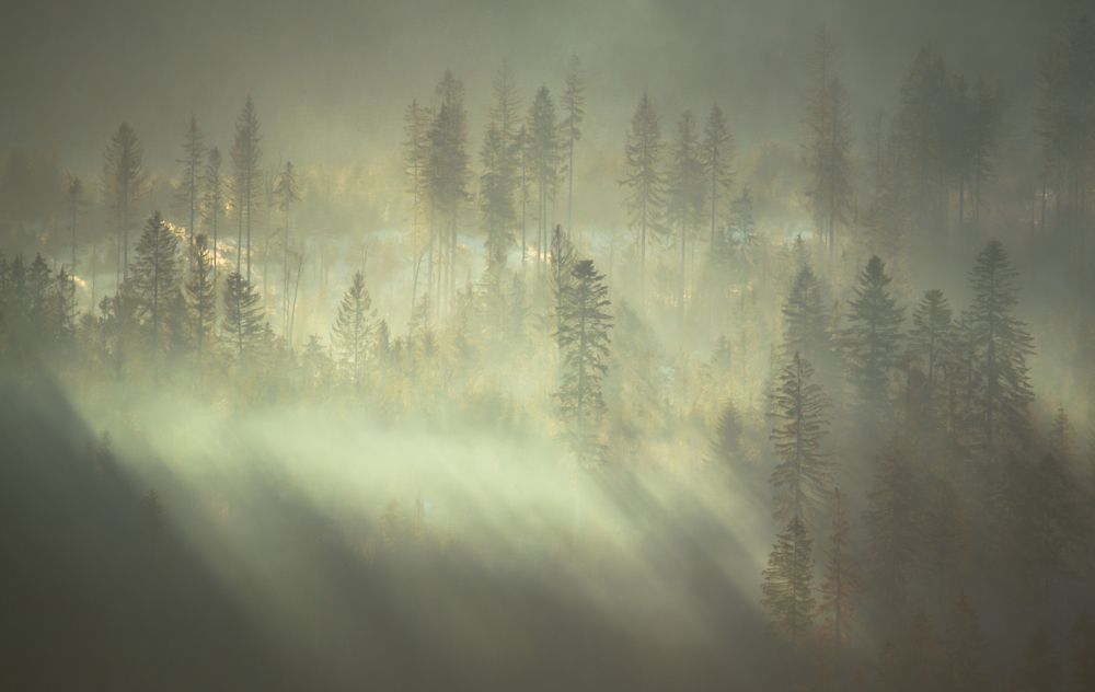 Photograph by Bartłomiej Polak