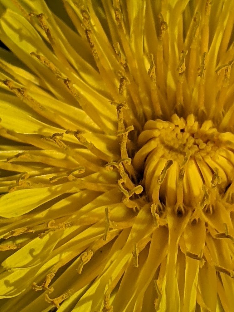 Photograph by Kristina Trofimova