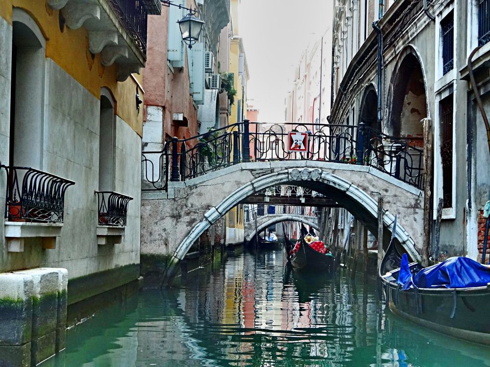 Photograph by Arkady Sandler