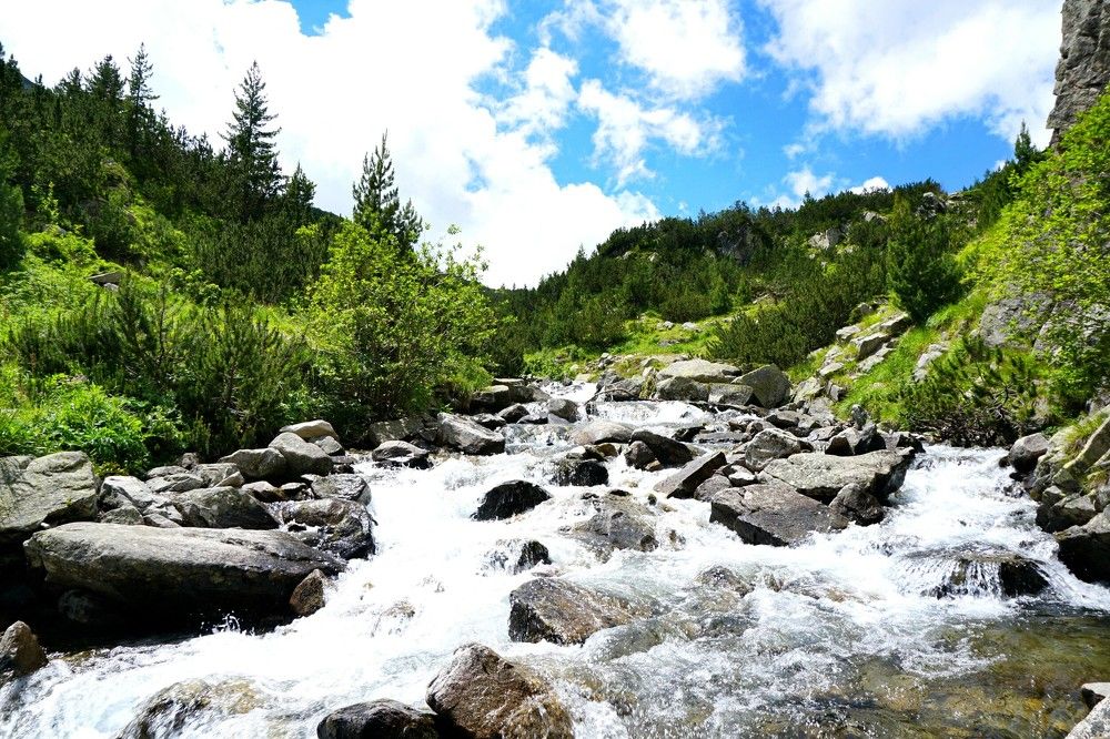 Photograph by Arkady Sandler