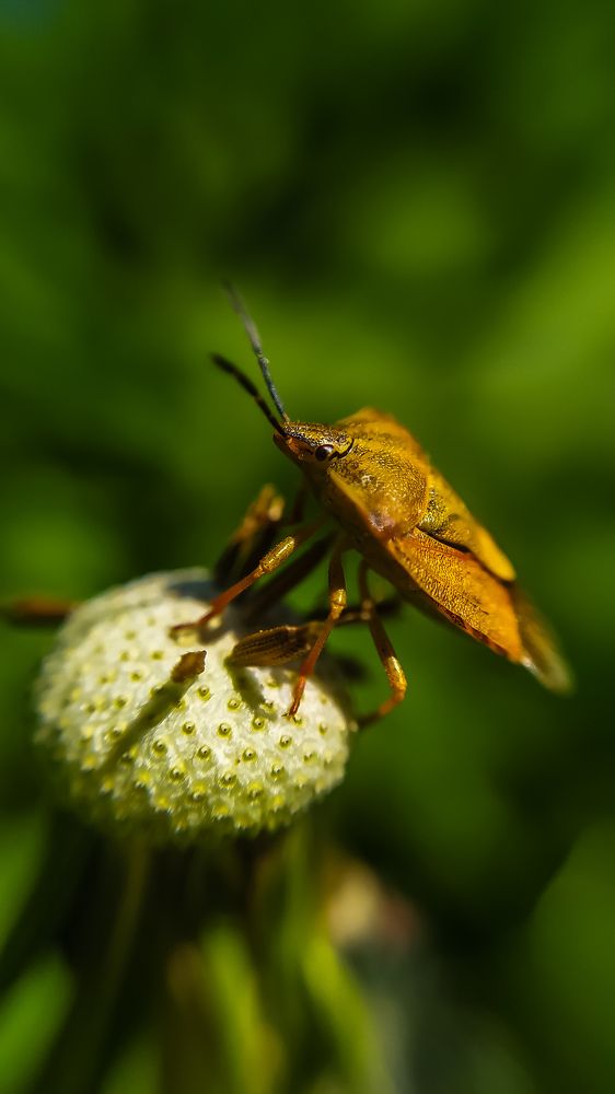 Photograph by Екатерина Хужаева