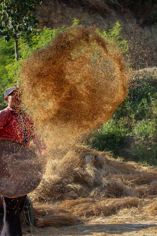 Photograph by Sujan prakash Pradhan