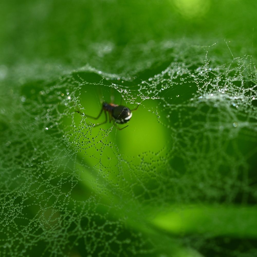 Photograph by Алексей Гордеев