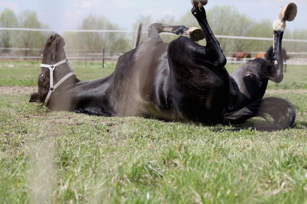 Photograph by Анастасия Солодкая