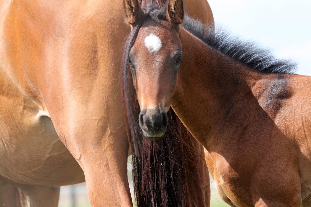 Photograph by Анастасия Солодкая