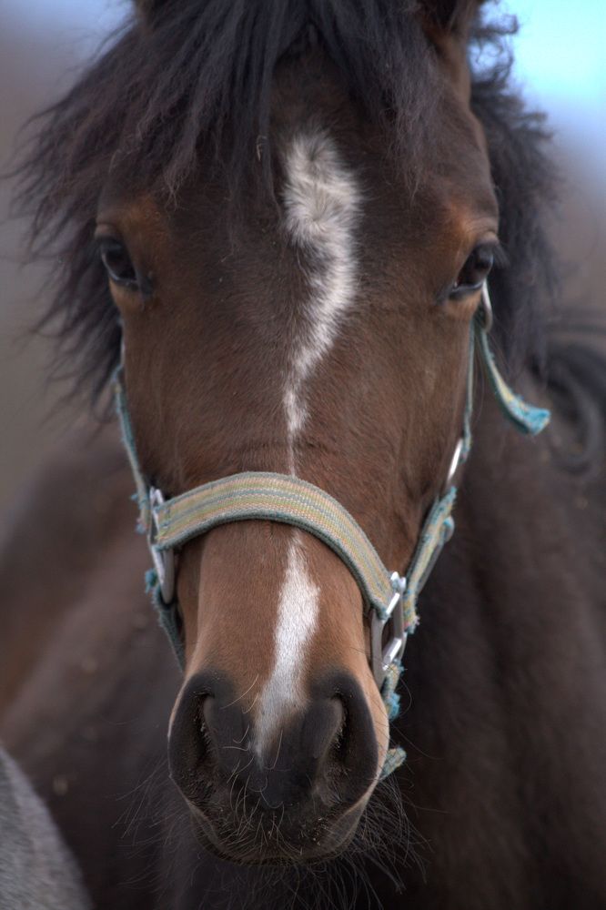 Photograph by Анастасия Солодкая