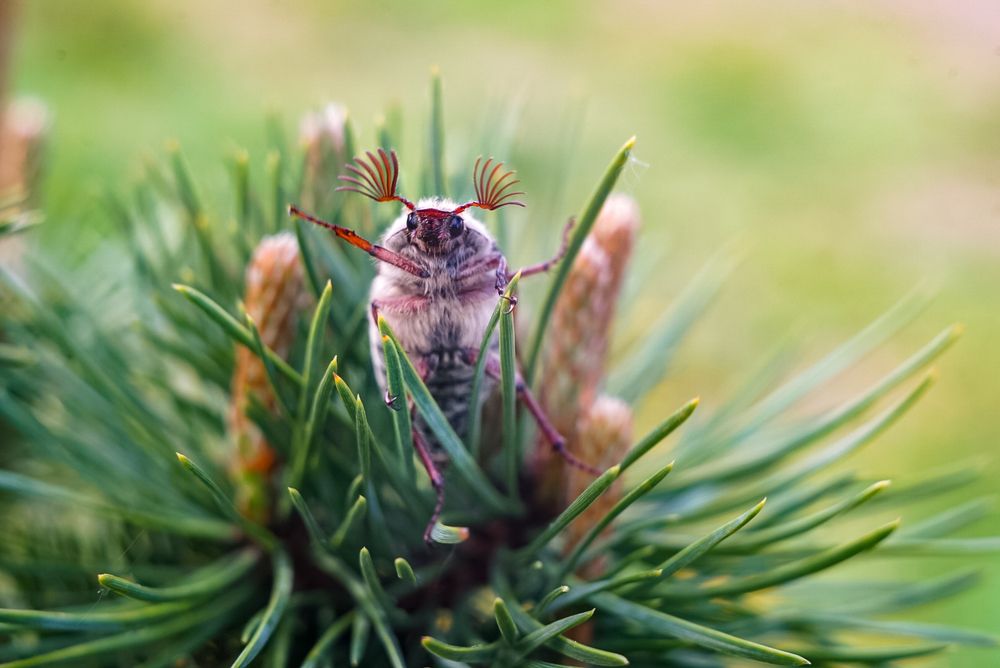 Photograph by Алена Жогалович