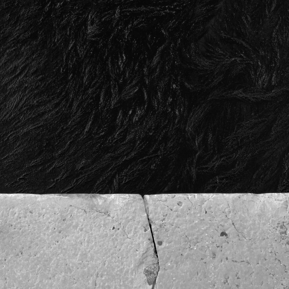 Photograph by Davide Dalla Giustina