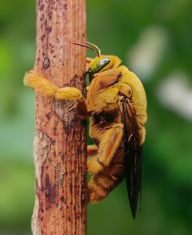 Photograph by Ashik R S Mohammed