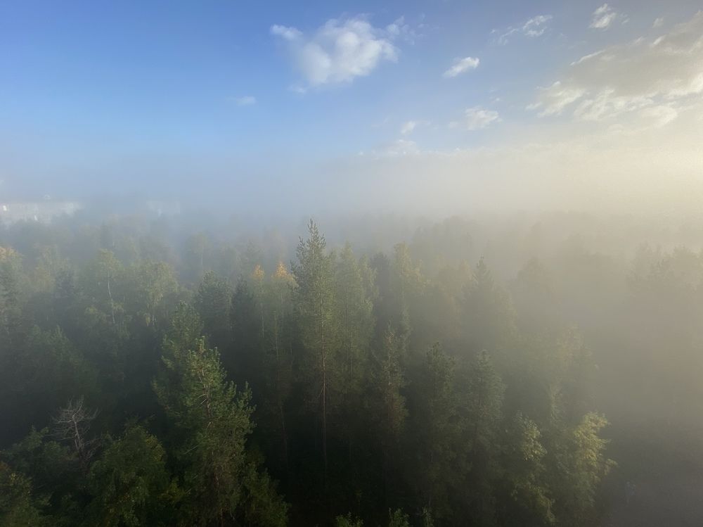 Photograph by Татьяна Беркович