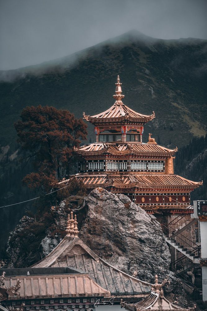 Photograph by Martin S.