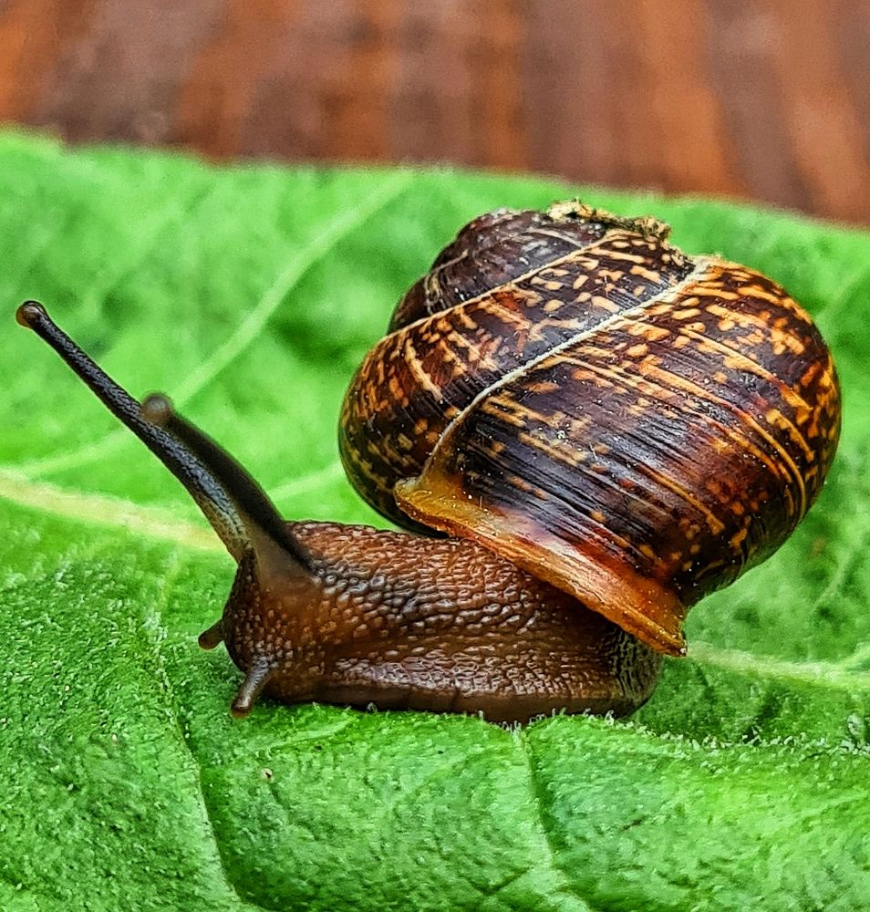 Photograph by Валерий Ташкин
