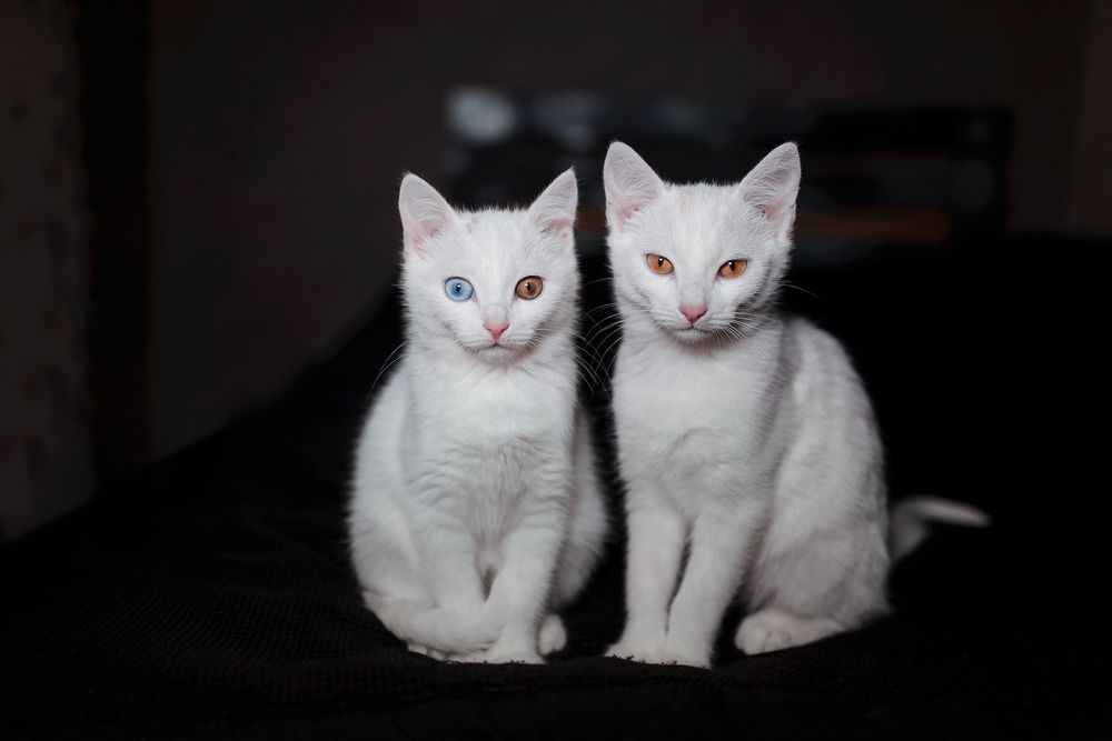 Photograph by Анна Пашко