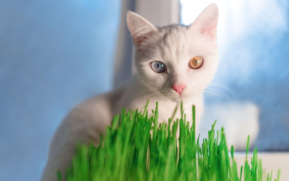 Photograph by Анна Пашко