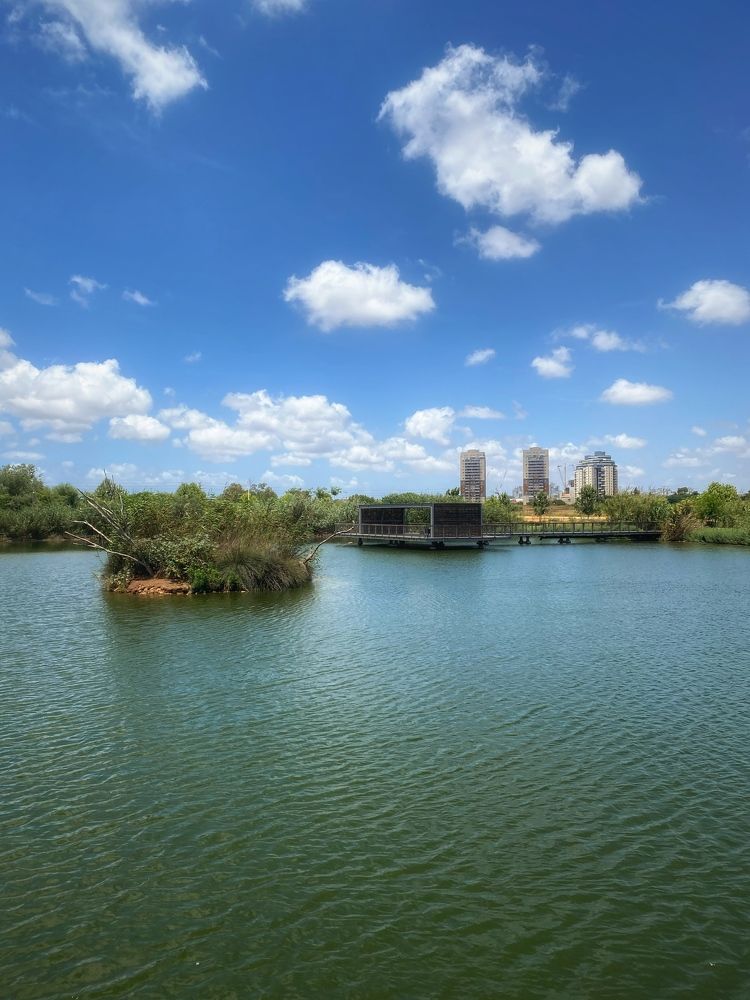 Photograph by Yelena Yakubov