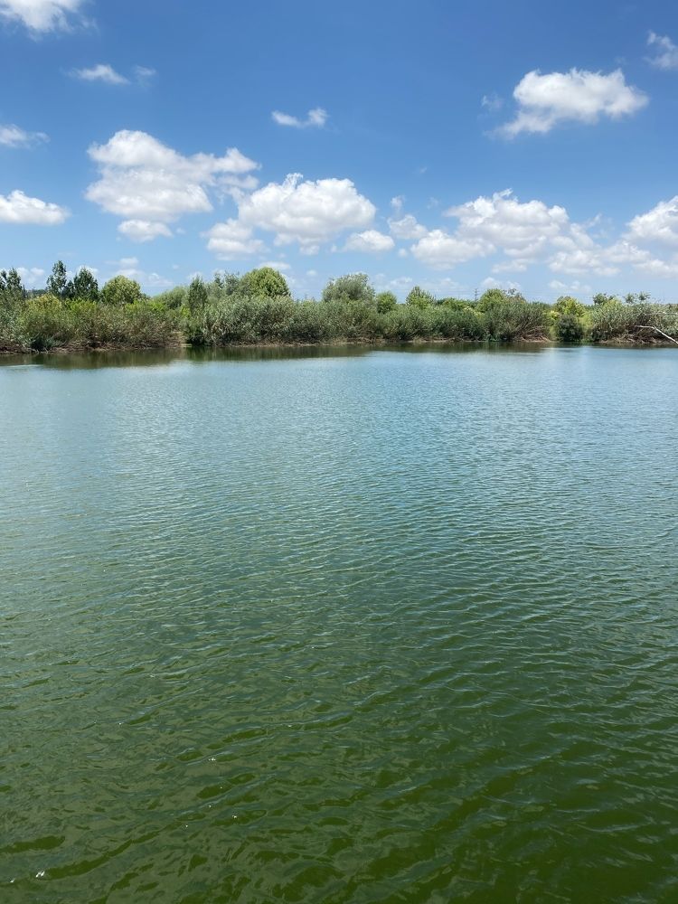 Photograph by Yelena Yakubov