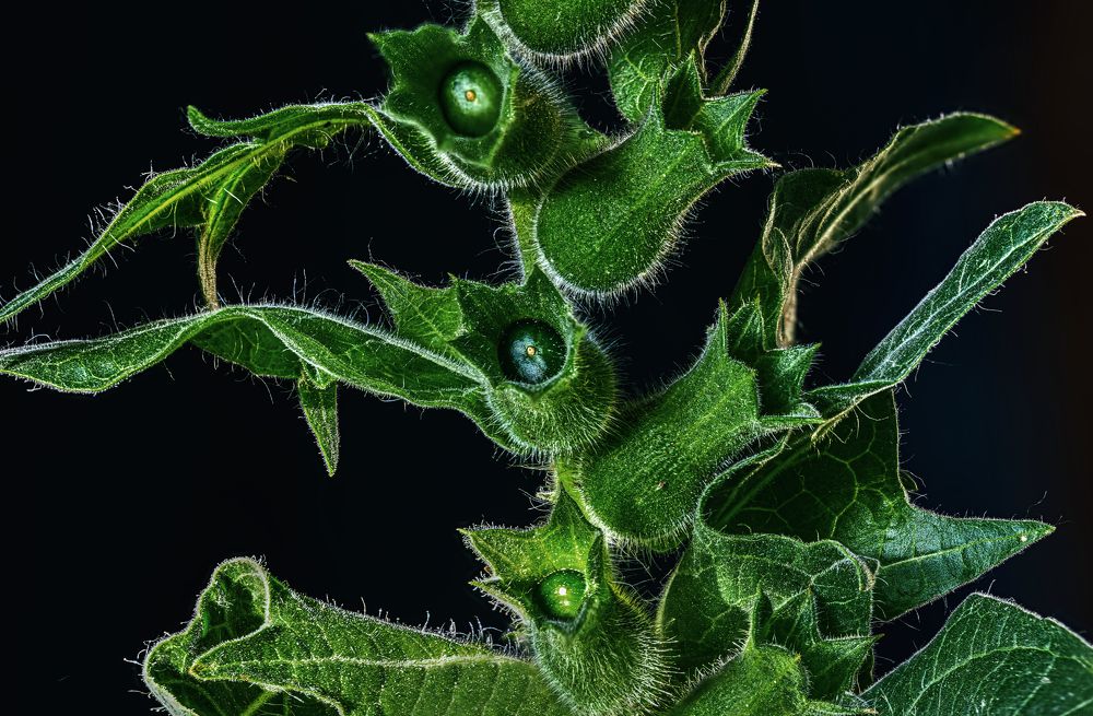 Photograph by Владимир Кваша