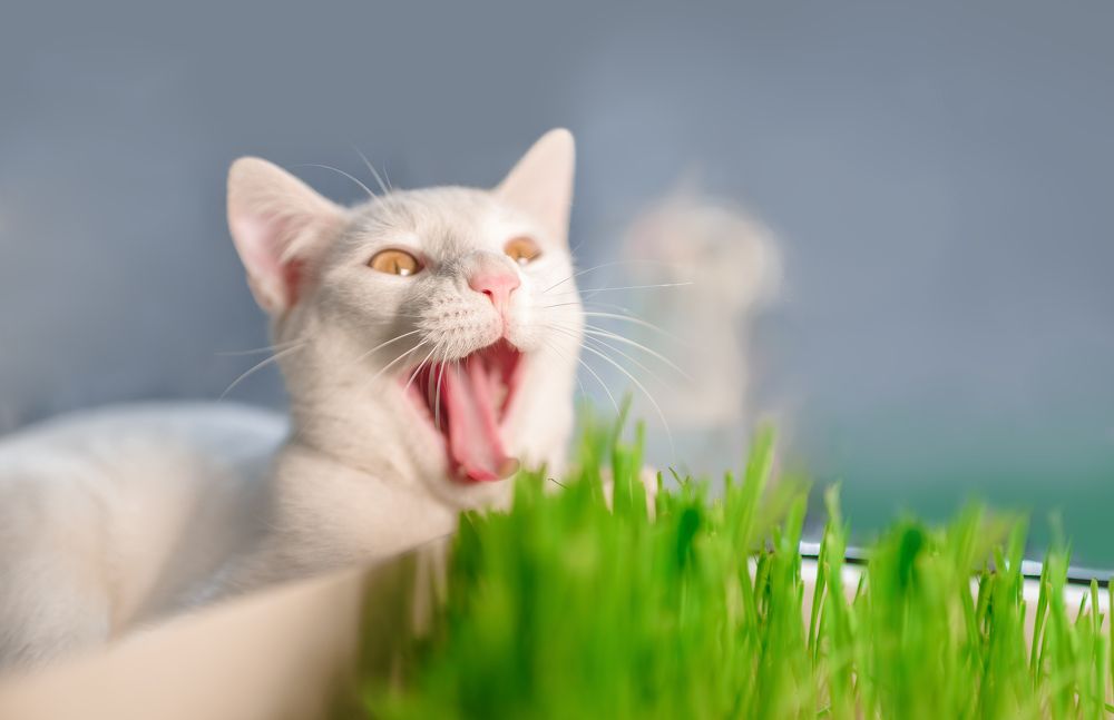 Photograph by Анна Пашко