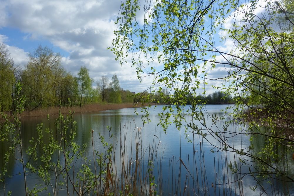 Photograph by Марусевич Светлана