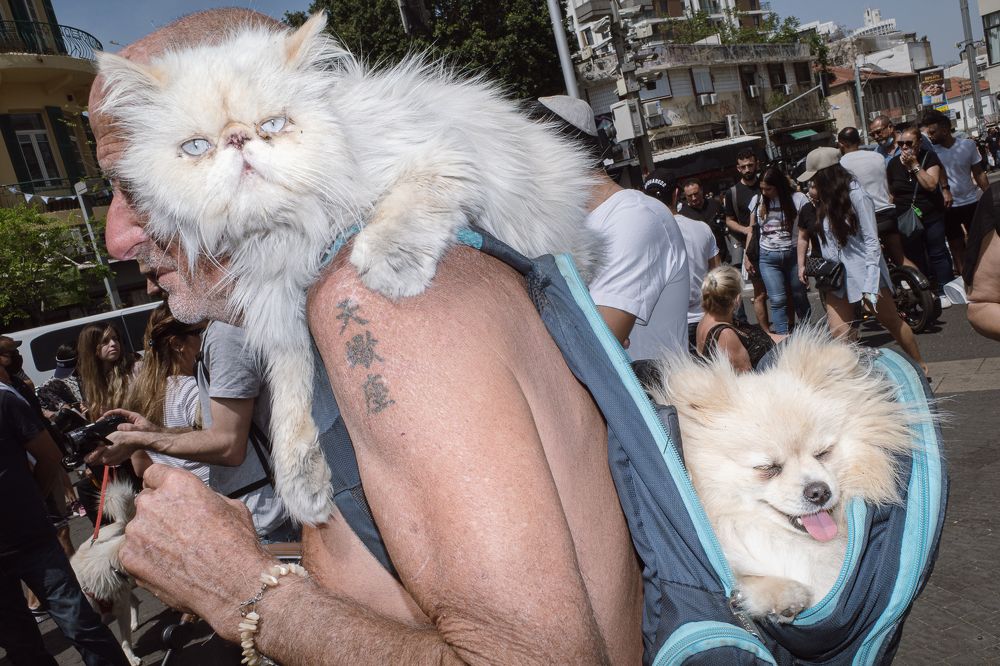 Photograph by Gil Kreslavsky