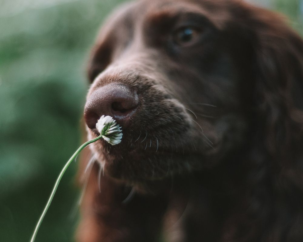 Photograph by Динара Зуйкова