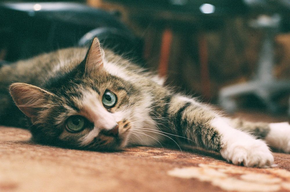 Photograph by Alexey Belov